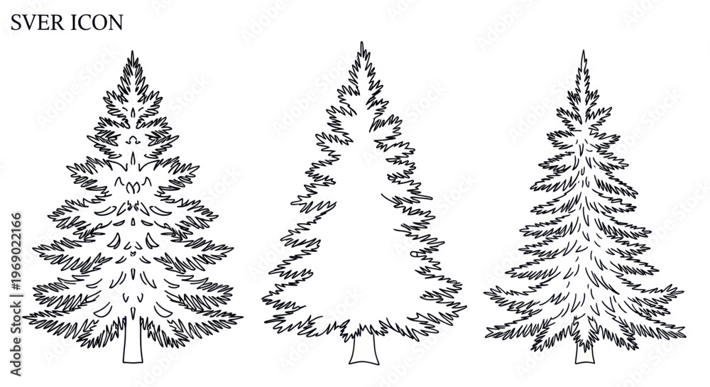 Fototapeta premium Three Hand-Drawn Pine Tree Illustrations, Black and White Line Art, Isolated