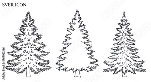 Three Hand-Drawn Pine Tree Illustrations, Black and White Line Art, Isolated