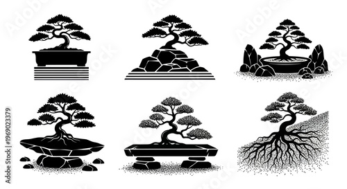 Bonsai trees sit on various pedestals in a serene environment.