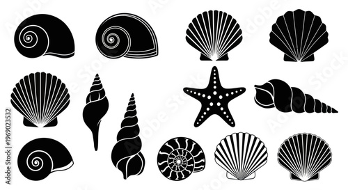 A collection of various seashells and a starfish on display