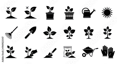 Gardening tools and plants are displayed on a clean surface for organization.