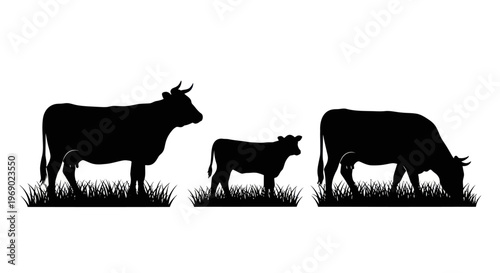 Three cows grazing in a green field with grass and plants.