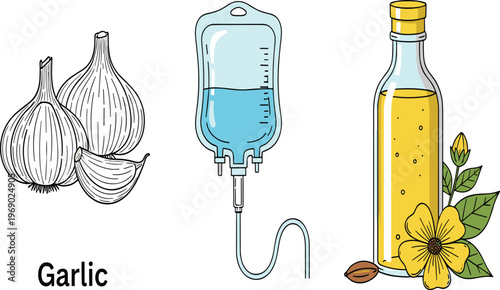 Vector illustration set featuring hand drawn garlic cloves medical IV drip bag and a bottle of herbal oil with yellow flowers