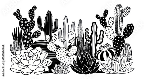 Diverse Succulent and Cactus Collection - Hand-Drawn Black and White Illustration