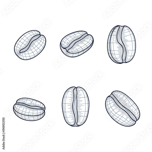 Set of six handdrawn coffee beans in sketch style.