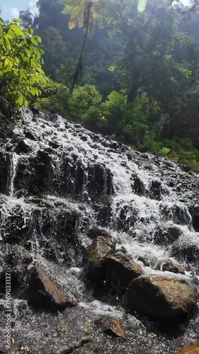 A lush green forest landscape features a natural mountain river and a flowing stone cascade where water falls over wet rocks in a scenic summer park