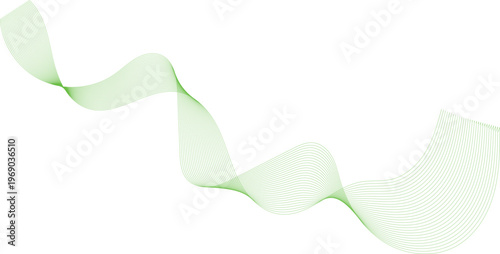 Beautiful lily of the valley flowers with delicate white blossoms and green leaves isolated on a white background for a clean spring nature floral macro