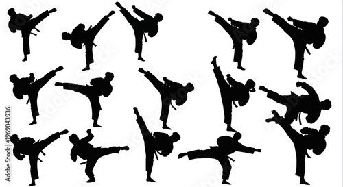 Martial Arts Silhouette Collection: Dynamic Kicks and Combat Poses