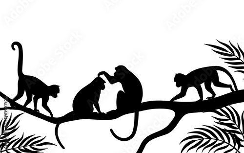 Silhouette of animals in the savannah. African landscape scene. Vector horizontal seamless tropical background with monkeys and palm leaves. Black isolated silhouette. Vector illustration