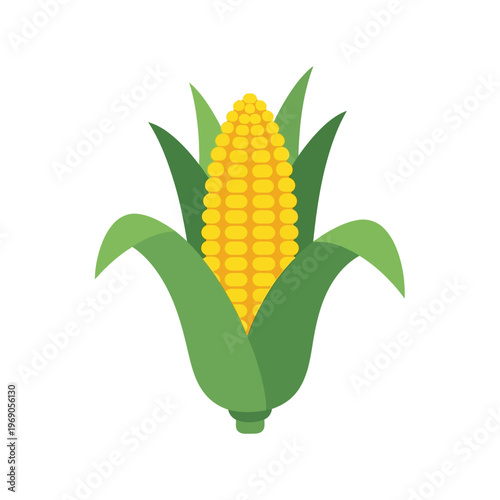 Freshly Harvested Corn Cob with Green Leaves, a Simple and Vibrant Illustration