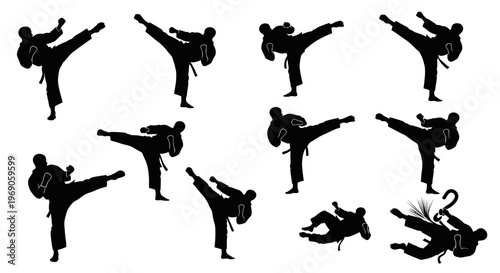 Martial Arts Silhouette Collection: Karate Combat Action Poses