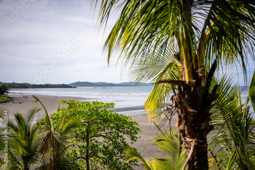 Playa Estero view through palm trees