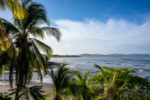 Playa Estero view through palm trees