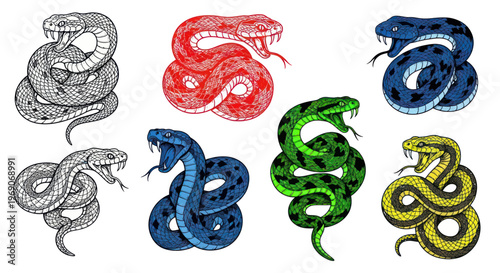Collection of Colorful Snake Illustrations with Fangs and Forked Tongues