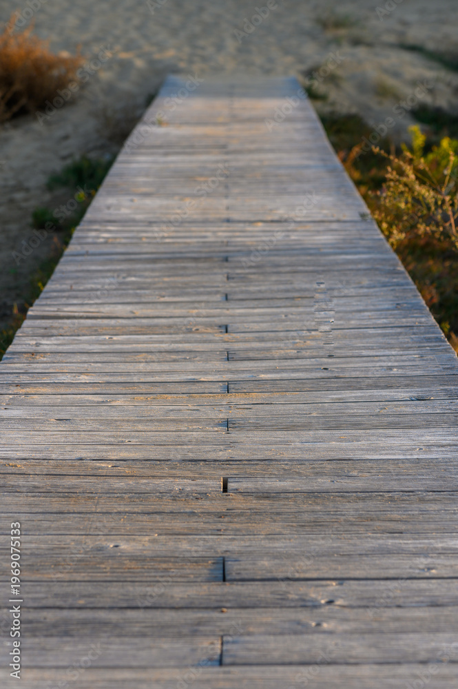 Fototapeta premium A tranquil wooden walkway leading into nature at sunset by the riverside invites peaceful contemplation.