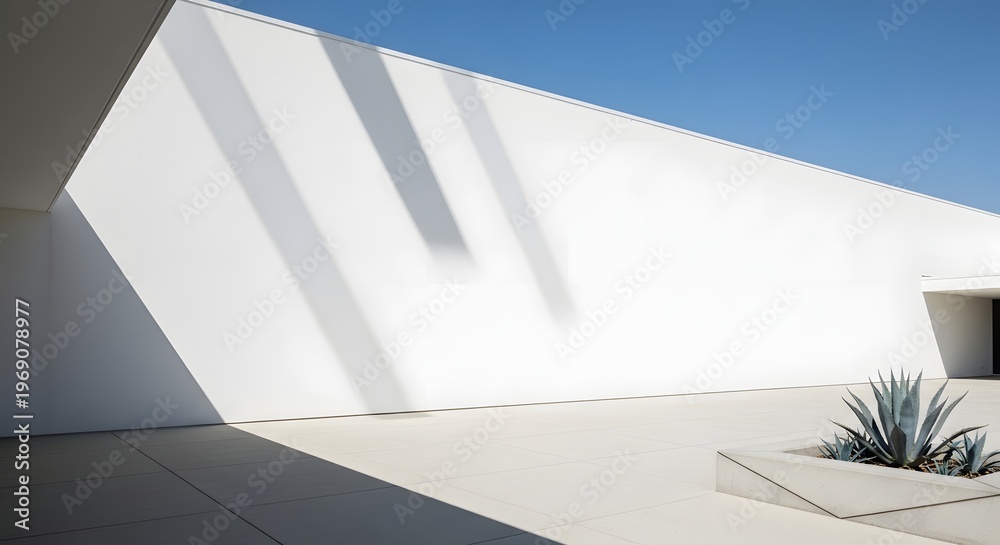 Obraz premium A minimalist architectural scene with a large white wall, strong shadows, and a succulent plant under a clear blue sky.