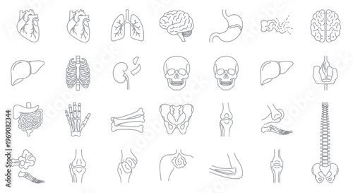 Human Anatomy Outline Icons: Organs, Skeleton, Joints, Brain, Heart, Lungs