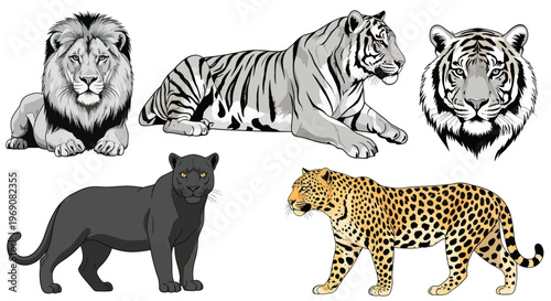 Majestic Big Cats: Lion, Tiger, Panther, Leopard - Wildlife Illustration Set