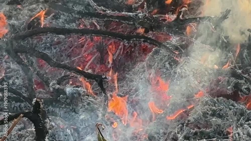 枯れ草 野火の炎のテクスチャー動画