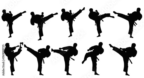 Martial Arts Silhouette: Dynamic Karate Kicks Sequence