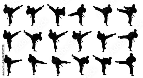 Martial Arts Silhouette Sequence: Karate Fighter Kicking Action