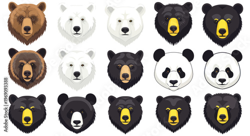 Collection of various bear heads.