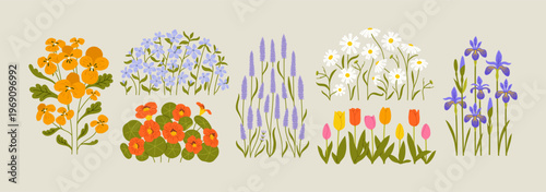 Beautiful natural flower plant drawing illustration set. Realistic hand drawn floral garden graphic element collection. Spring flora nature bundle includes pansy, lavender, tulip and iris flowers.