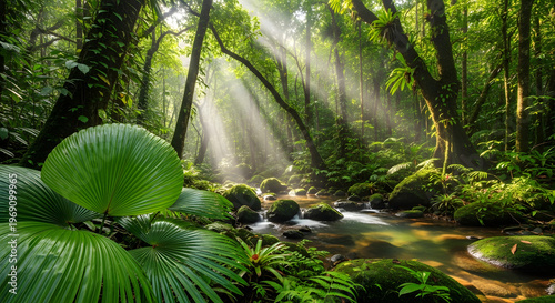 Serene forest landscape with sunlit stream and lush greenery in a tropical environment