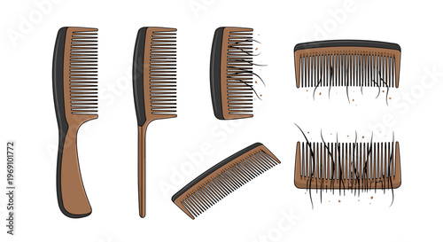 A set of wooden hair combs and brushes in various shapes and sizes on a white background
