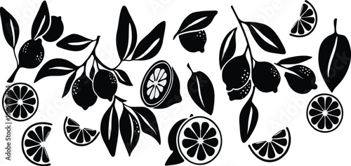 A collection of assorted leaves with intricate vein patterns and varying shapes