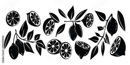 Intricate black floral pattern with symmetrical leafy vines and decorative motifs