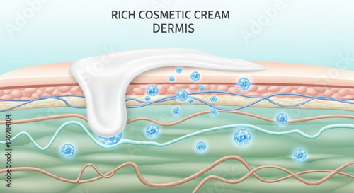 An illustration of rich cosmetic cream penetrating the dermis layer of skin