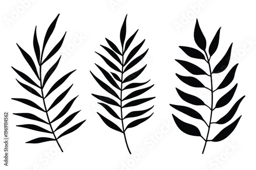 Three stylized black and white feather-like fronds standing upright in parallel alignment