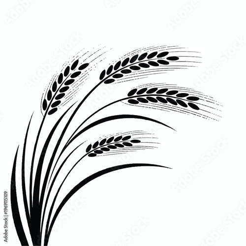 Black and white graphic of curved wheat stalks with leaves with organic food with plant life with wild grass