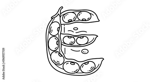 Stylized letter E formed by detailed opened pea pods and round beans botanical food illustration