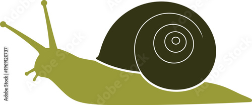 Green snail with dark shell on white background insect
