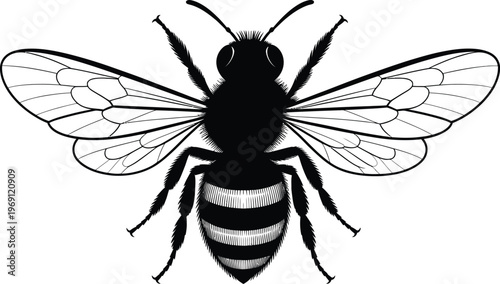 Black silhouette of a bee with detailed wings and striped abdomen