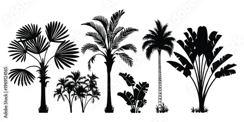 Black and white silhouette of tropical birds among palm trees