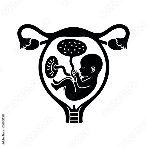 Human Fetus in Uterus Silhouette.