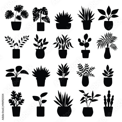Collection of various potted houseplants in monochromatic silhouette style