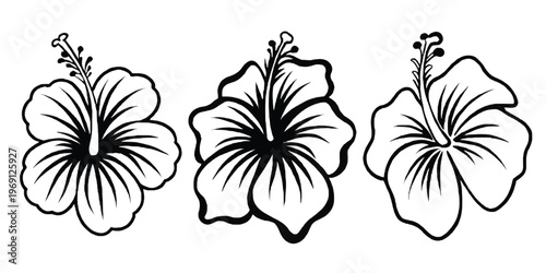 Three stylized hibiscus flowers in a simple line drawing