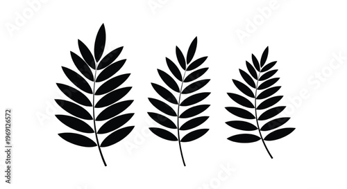 Three stylized fern fronds depicted in a minimalist black and white design