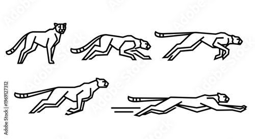 Cheetahs running in different positions.