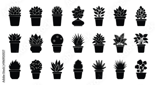 Collection of stylized black and white succulent plants in pots