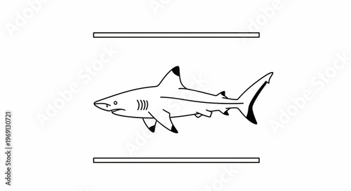 Stylized ocean predator illustration with clean lines and striking minimalist design