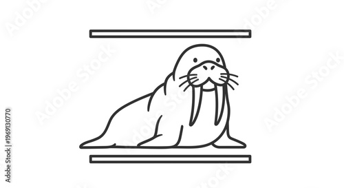 Charming line art illustration of a friendly walrus with tusks and whiskers, portraying Arctic
