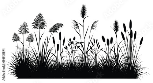 Tall wild grasses swaying in a natural meadow setting