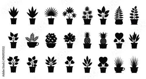 Collection of assorted potted succulent plants in black and white illustration