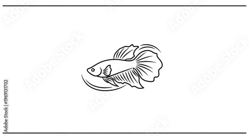 Elegant line art illustration of a graceful betta fish swimming with intricate fins and delicate