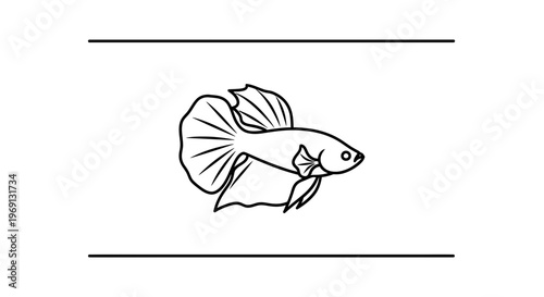 Elegant Betta Fish Line Art Illustration with Flowing Fins on a Clean White Background Minimalist